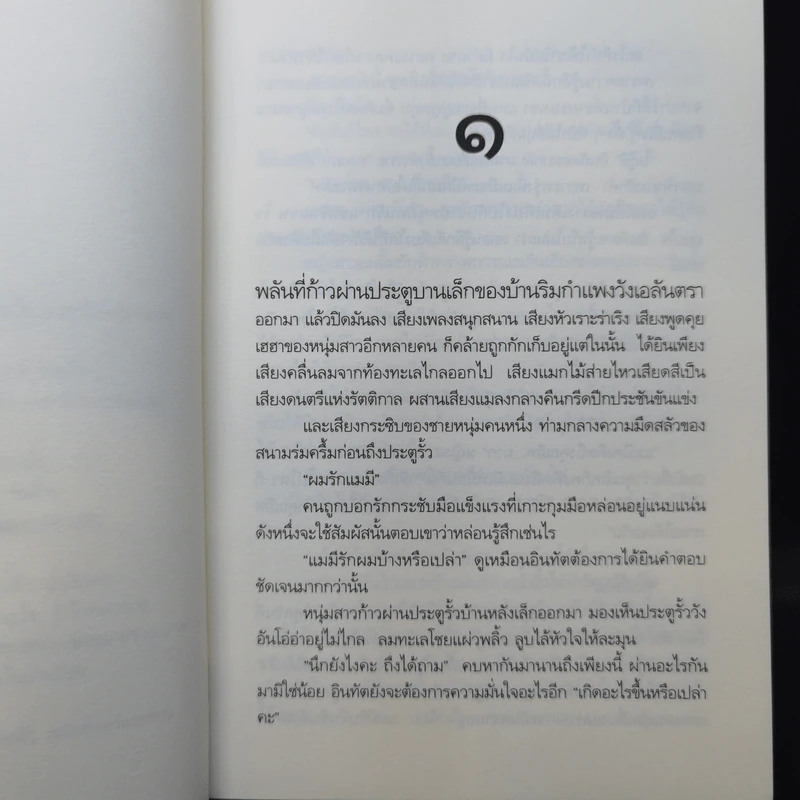 รอยรักราชันย์ - ดวงตะวัน รูปที่ 10