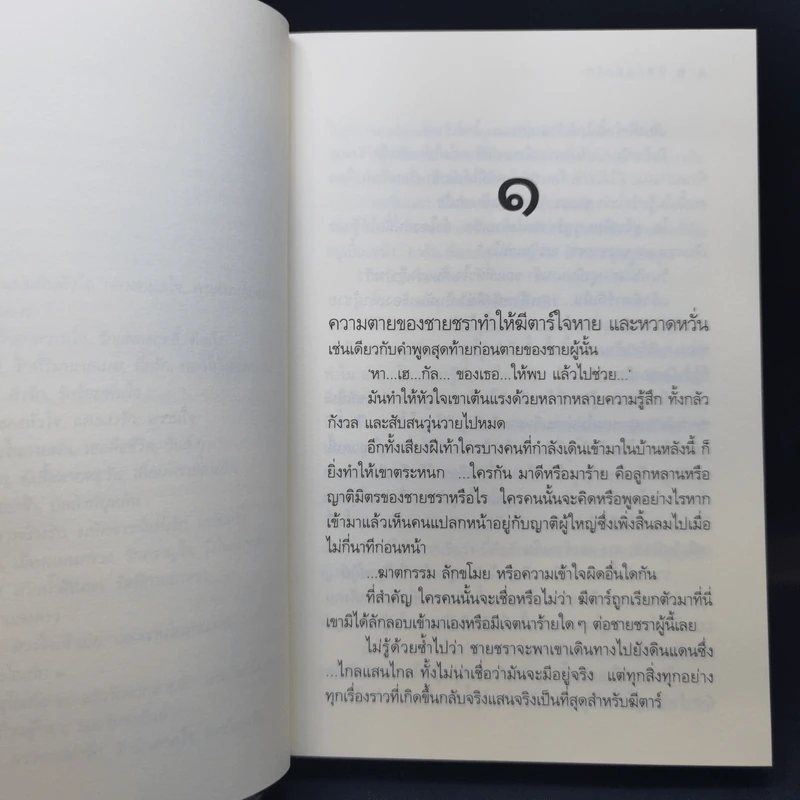 ทิพย์แห่งรัก - ดวงตะวัน รูปที่ 10
