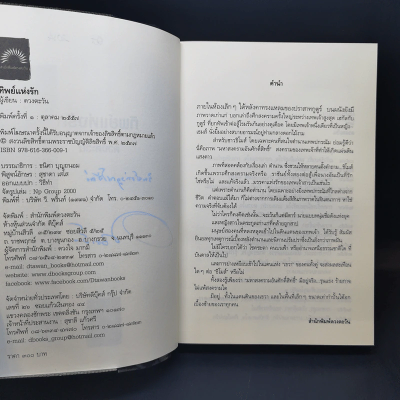 ทิพย์แห่งรัก - ดวงตะวัน รูปที่ 9