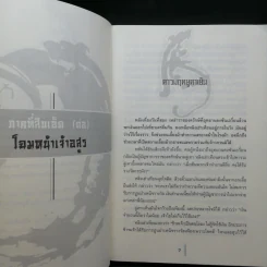 พยัคฆ์คู่ผงาดฟ้า 6 เล่มจบ - น.นพรัตน์ รูปที่ 14