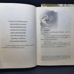 มาเฟียบู๊ลิ้ม 10 เล่มจบ - น.นพรัตน์ รูปที่ 15