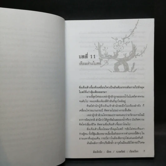 ศึกล้างแผ่นดิน 3 เล่มจบ - น.นพรัตน์ รูปที่ 11