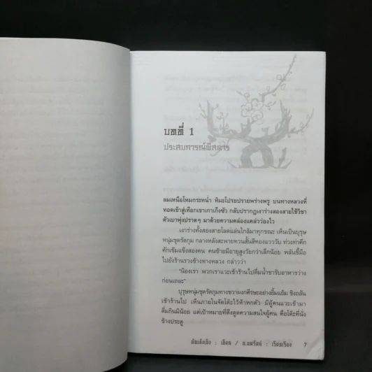 ศึกล้างแผ่นดิน 3 เล่มจบ - น.นพรัตน์ รูปที่ 9