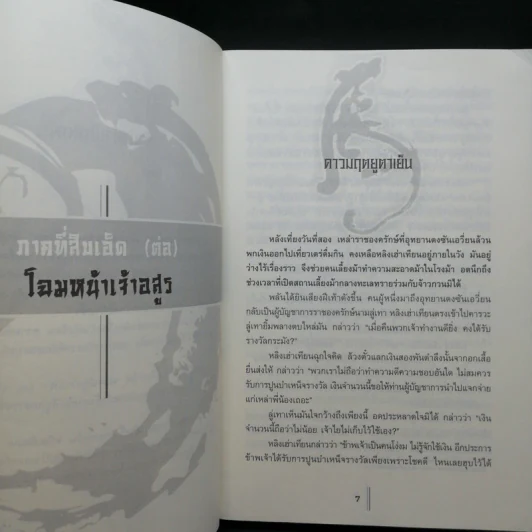 พยัคฆ์คู่ผงาดฟ้า 6 เล่มจบ - น.นพรัตน์ รูปที่ 14