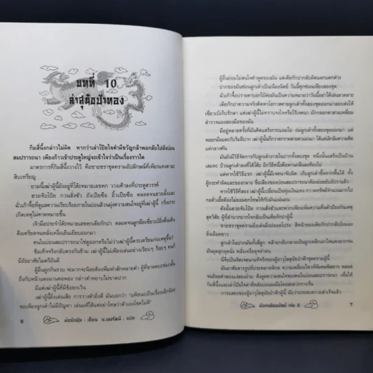 มังกรตัดพยัคฆ์ 3 เล่มจบ - น.นพรัตน์ รูปที่ 10