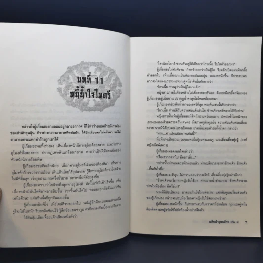 พลิกฟ้ายุทธจักร 3 เล่มจบ - น.นพรัตน์ รูปที่ 11