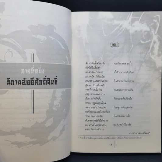 กระบี่อภิญญา 4 เล่มจบ - น.นพรัตน์ รูปที่ 9