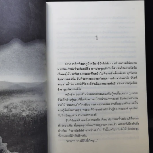 จอมทัพพลิกแผ่นดิน เล่ม 1-5 - น.นพรัตน์ รูปที่ 13