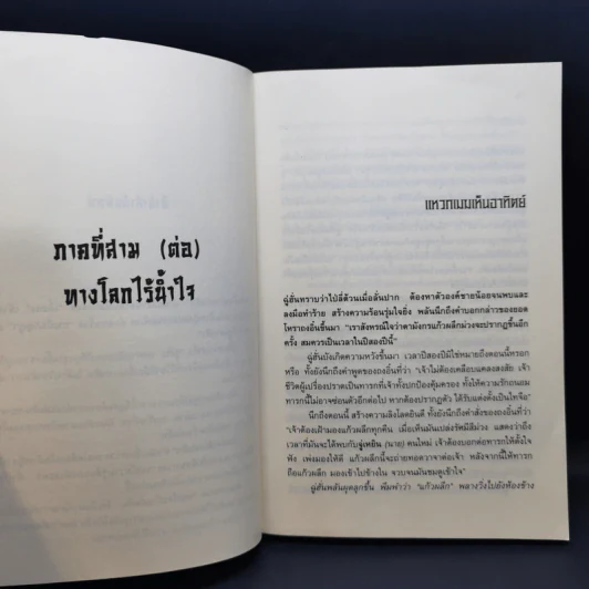 จอมโจรลักแผ่นดิน 4 เล่มจบ - น.นพรัตน์ รูปที่ 13
