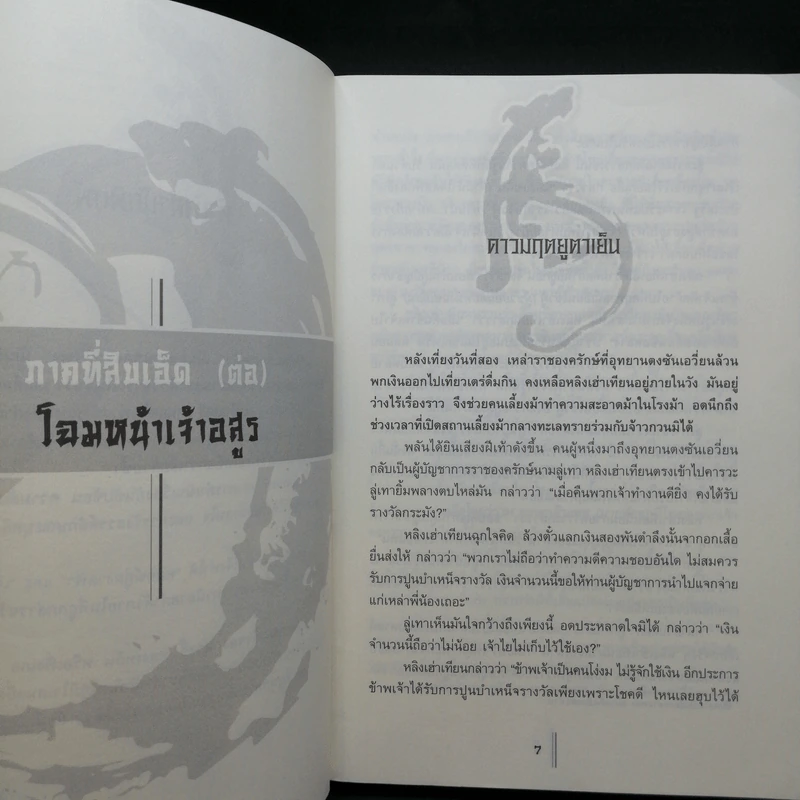 พยัคฆ์คู่ผงาดฟ้า 6 เล่มจบ - น.นพรัตน์ รูปที่ 14