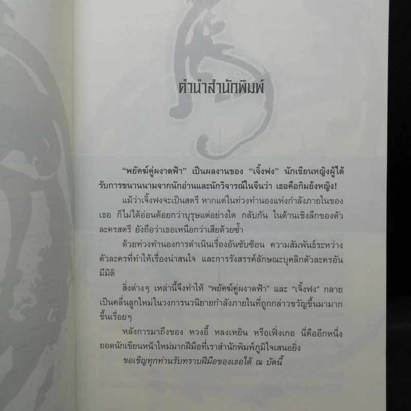 พยัคฆ์คู่ผงาดฟ้า 6 เล่มจบ - น.นพรัตน์ รูปที่ 13