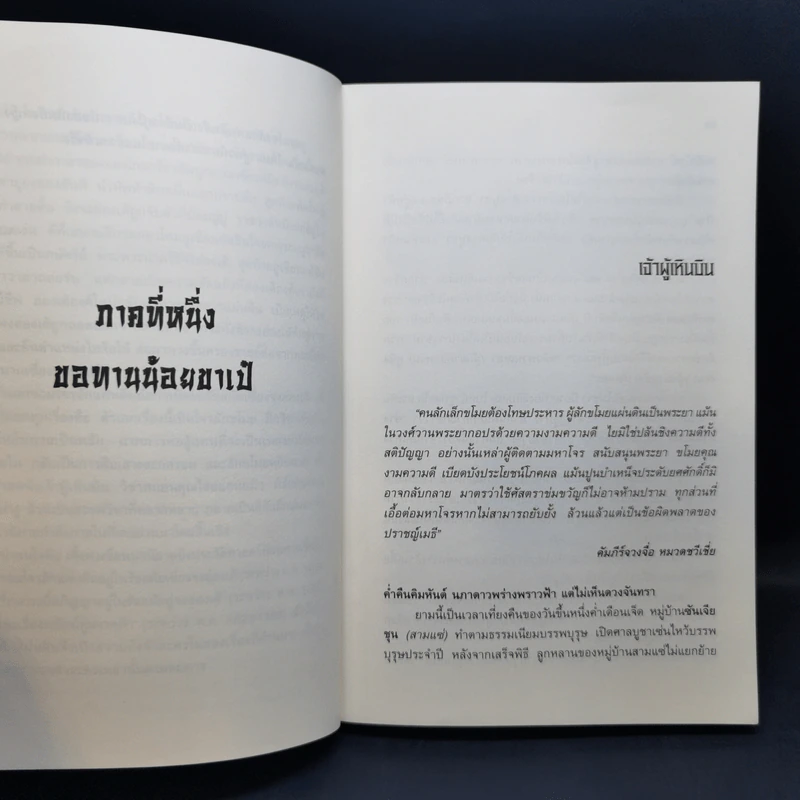 จอมโจรลักแผ่นดิน 4 เล่มจบ - น.นพรัตน์ รูปที่ 10