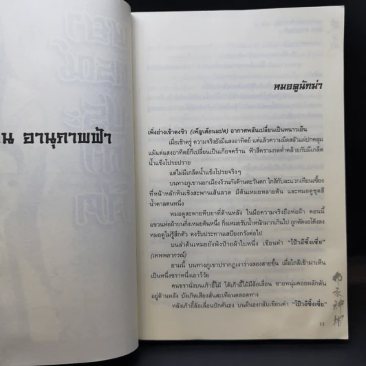 พยากรณ์ประกาศิต 3 เล่มจบ - น.นพรัตน์ รูปที่ 11
