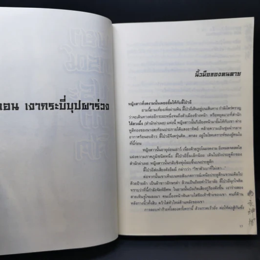 พยากรณ์ประกาศิต 3 เล่มจบ - น.นพรัตน์ รูปที่ 13