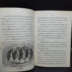 ขนมแม่เอ๊ย - ส.พลายน้อย รูปที่ 11