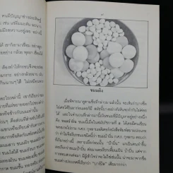 ขนมแม่เอ๊ย - ส.พลายน้อย รูปที่ 10