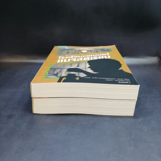 โรงเรียนเวทมนตร์แมจิสตีเรียม เล่ม 1-2 - โฮลลี แบล็ก, แคสซานดรา แคลร์ รูปที่ 3