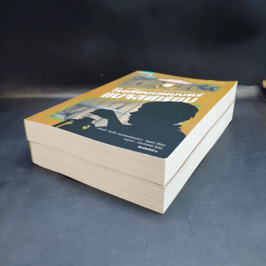 โรงเรียนเวทมนตร์แมจิสตีเรียม เล่ม 1-2 - โฮลลี แบล็ก, แคสซานดรา แคลร์ รูปที่ 6