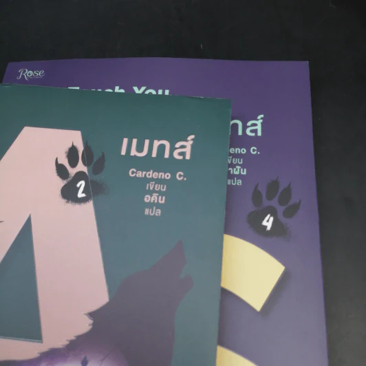นิยายวาย เมทส์ เล่ม 2 Until Forever Comes + เมทส์ เล่ม 4 To Touch You - Cardeno C. รูปที่ 8