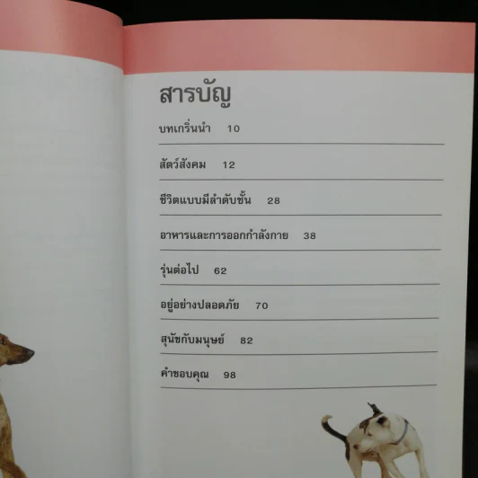 รู้ไหมหมาคิดอะไรอยู่? - Gwen Bailey รูปที่ 7
