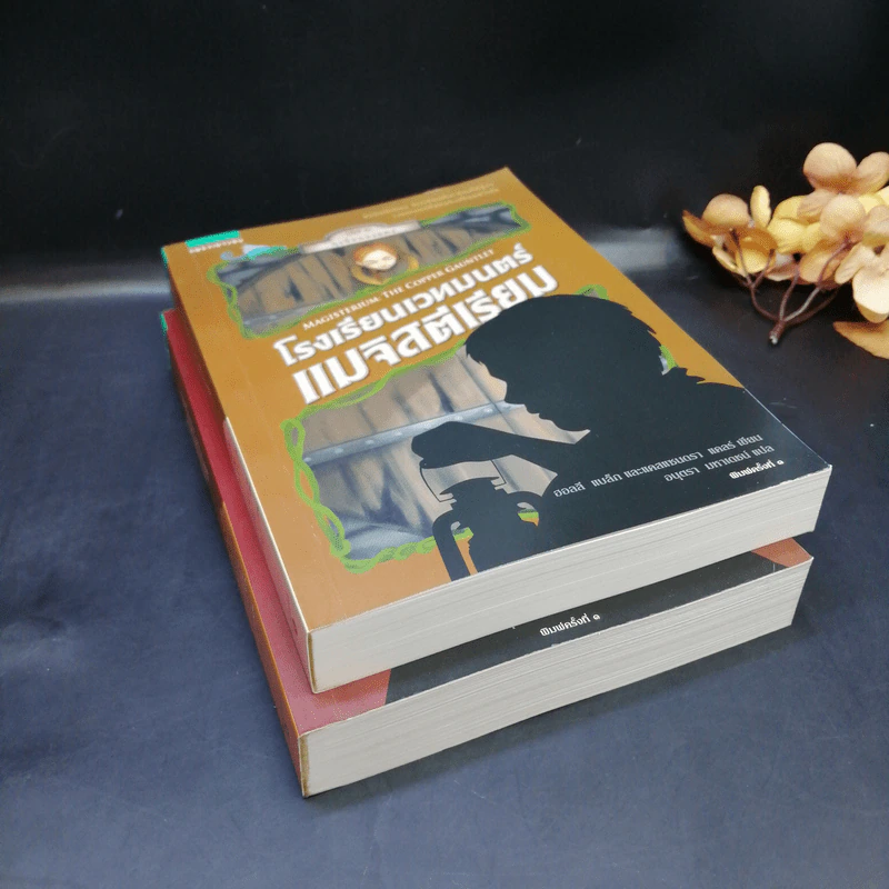โรงเรียนเวทมนตร์แมจิสตีเรียม เล่ม 1-2 - โฮลลี แบล็ก, แคสซานดรา แคลร์ รูปที่ 7