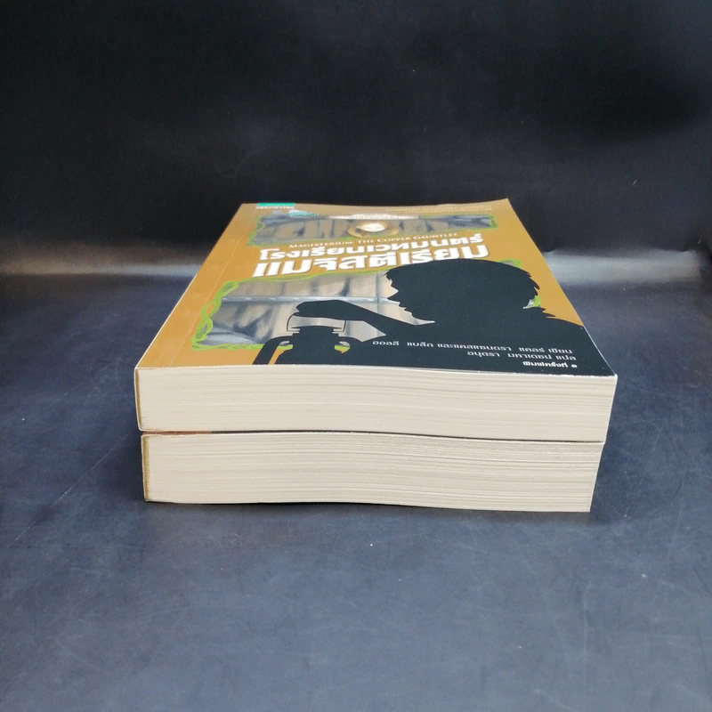 โรงเรียนเวทมนตร์แมจิสตีเรียม เล่ม 1-2 - โฮลลี แบล็ก, แคสซานดรา แคลร์ รูปที่ 3