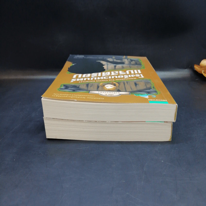 โรงเรียนเวทมนตร์แมจิสตีเรียม เล่ม 1-2 - โฮลลี แบล็ก, แคสซานดรา แคลร์ รูปที่ 5