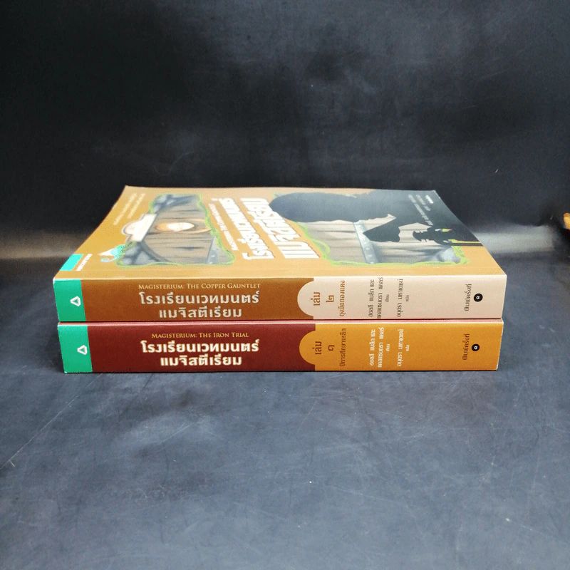 โรงเรียนเวทมนตร์แมจิสตีเรียม เล่ม 1-2 - โฮลลี แบล็ก, แคสซานดรา แคลร์ รูปที่ 2