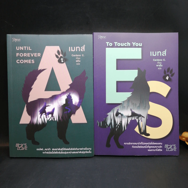 นิยายวาย เมทส์ เล่ม 2 Until Forever Comes + เมทส์ เล่ม 4 To Touch You - Cardeno C. รูปที่ 1