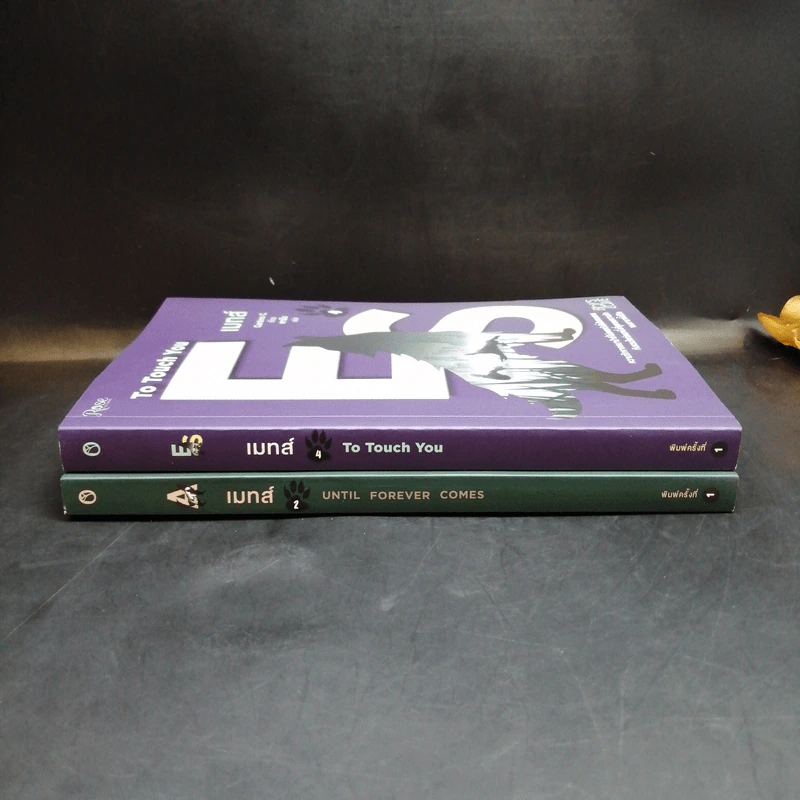 นิยายวาย เมทส์ เล่ม 2 Until Forever Comes + เมทส์ เล่ม 4 To Touch You - Cardeno C. รูปที่ 3