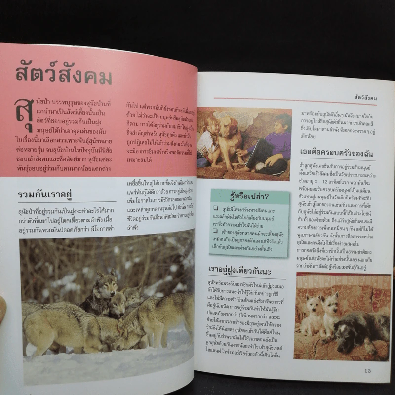 รู้ไหมหมาคิดอะไรอยู่? - Gwen Bailey รูปที่ 9