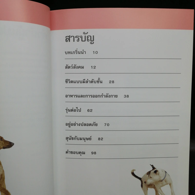 รู้ไหมหมาคิดอะไรอยู่? - Gwen Bailey รูปที่ 7