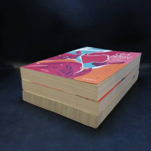 หนังสือชุด เจ้าพ่อ เจ้าแม่ เจ้าเมือง - อาจินต์ ปัญจพรรค์ รูปที่ 7