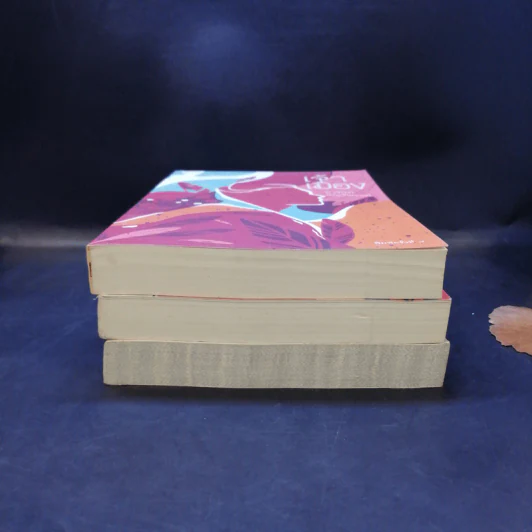หนังสือชุด เจ้าพ่อ เจ้าแม่ เจ้าเมือง - อาจินต์ ปัญจพรรค์ รูปที่ 4