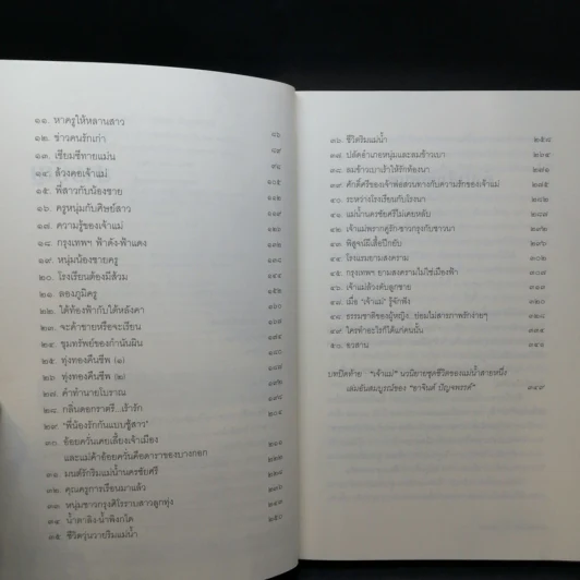 หนังสือชุด เจ้าพ่อ เจ้าแม่ เจ้าเมือง - อาจินต์ ปัญจพรรค์ รูปที่ 13