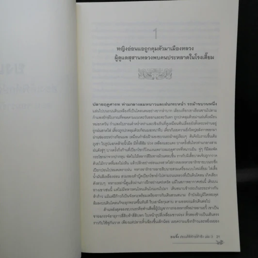 ยงเจิ้ง ฮ่องเต้พิทักษ์ต้าชิง เล่ม 1,3 - เอ้อเย่วเหอ รูปที่ 20