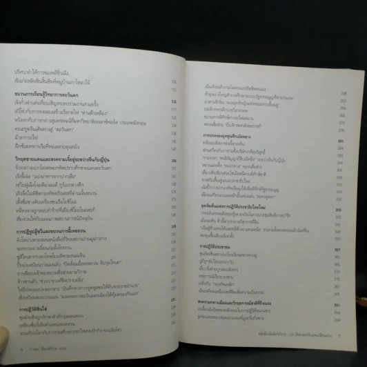 หลังสิ้นบัลลังก์มังกร ประวัติศาสตร์จีนยุคเปลี่ยนผ่าน - เส้าหย่ง - หวังไห่เผิง รูปที่ 9