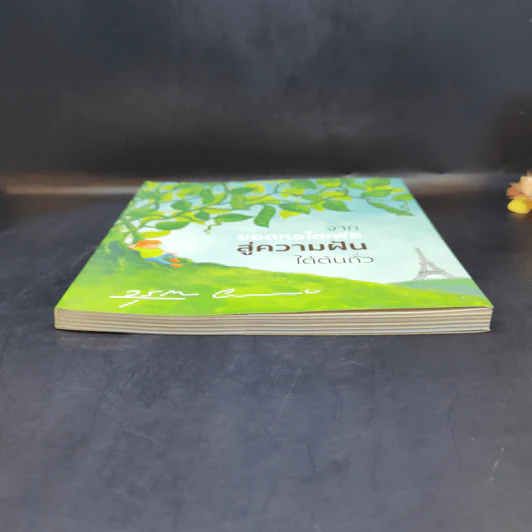 จากยอดหอไอเฟลสู่ความฝันใต้ต้นถั่ว -  โอ วรุฒ วรธรรม รูปที่ 4