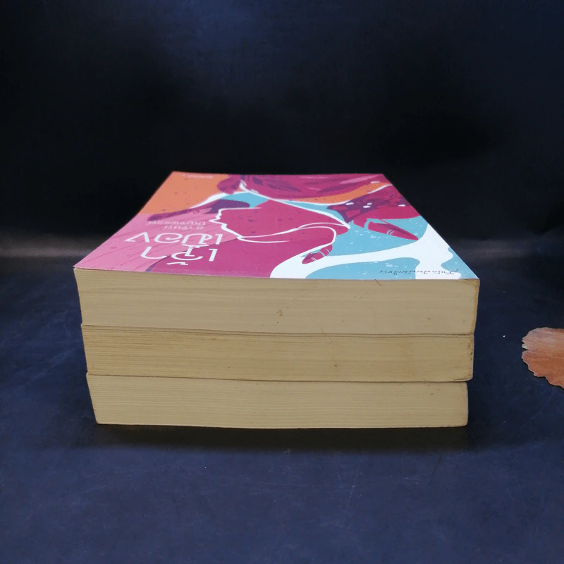 หนังสือชุด เจ้าพ่อ เจ้าแม่ เจ้าเมือง - อาจินต์ ปัญจพรรค์ รูปที่ 6