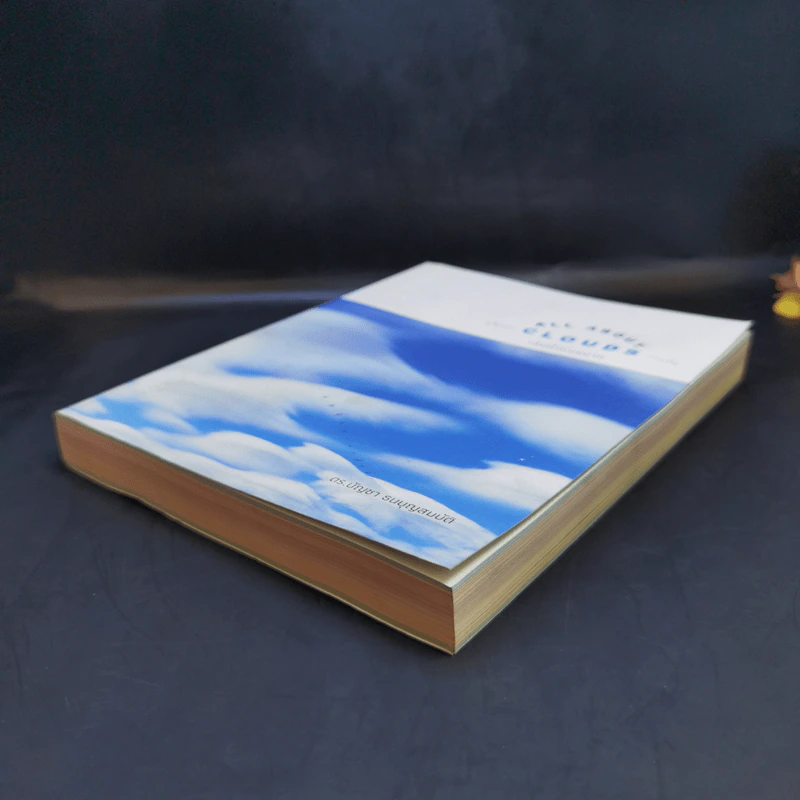 เล่มนี้มีเมฆมาก All About Clouds - ดร.บัญชา ธนบุญสมบัติ รูปที่ 7