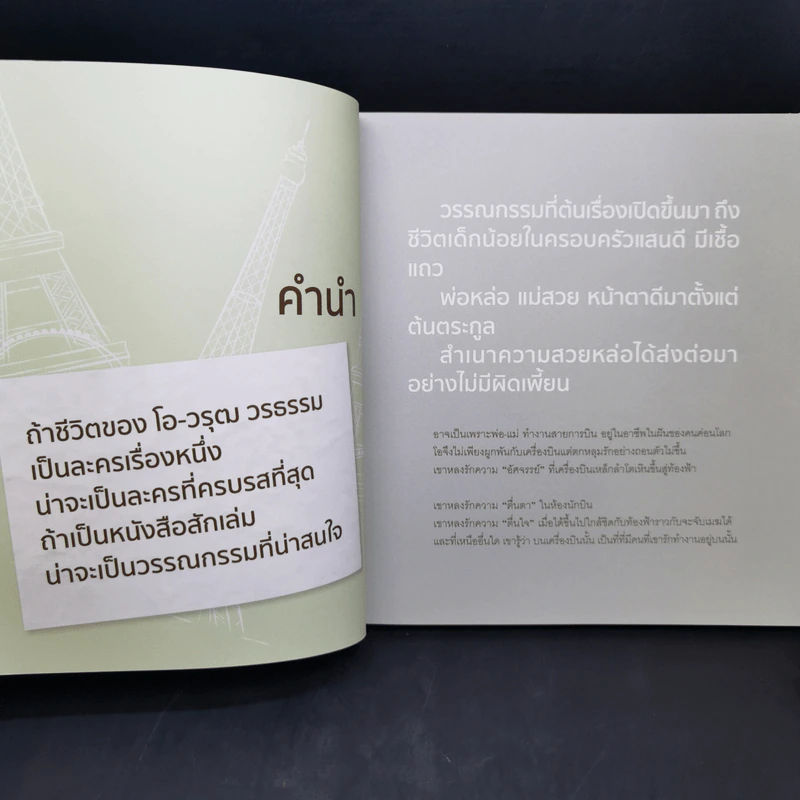จากยอดหอไอเฟลสู่ความฝันใต้ต้นถั่ว -  โอ วรุฒ วรธรรม รูปที่ 11