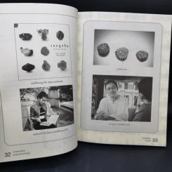จากเจ้าพระยาถึงอิรวดี - หอจดหมายเหตุพุทธทาส อินทปัญโญ รูปที่ 13