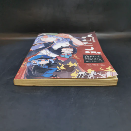 ในสาธารณรัฐไวมาร์ ฮิตเลลอร์ไม่ได้มาจากการเลือกตั้ง The Comic - ภาณุ ตรัยเวช รูปที่ 4