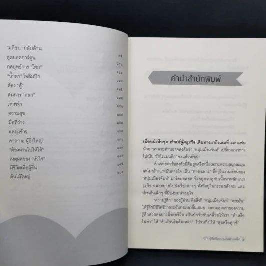 ความรู้สึกคือเหตุผลอย่างหนึ่ง - หนุ่มเมืองจันท์ รูปที่ 10