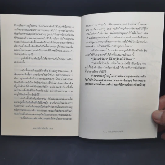 ความสุขที่ไม่เคยหายไป The Happiness - ปิ่นโต เกรียงไกร วิหาร รูปที่ 13