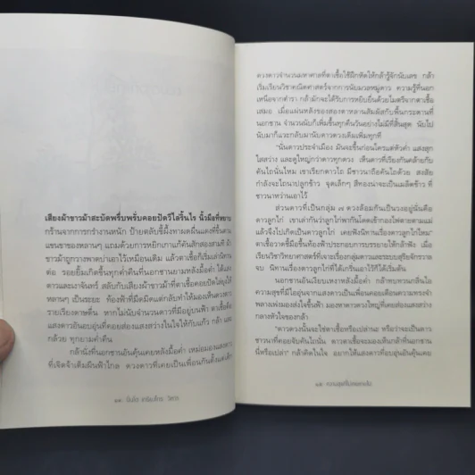 ความสุขที่ไม่เคยหายไป The Happiness - ปิ่นโต เกรียงไกร วิหาร รูปที่ 12