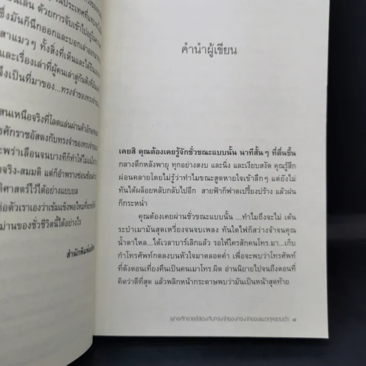 พุทธศักราชอัสดงกับทรงจำของทรงจำของแมวกุหลาบดำ - วีรพร นิติประภา รูปที่ 10