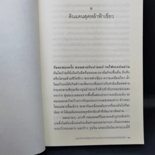 พุทธศักราชอัสดงกับทรงจำของทรงจำของแมวกุหลาบดำ - วีรพร นิติประภา รูปที่ 11