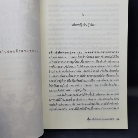 ไส้เดือนตาบอดในเขาวงกต - วีรพร นิติประภา รูปที่ 11