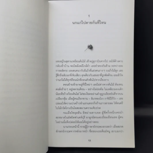 The Ministry of Utmost Happiness กระทรวงสุขสุดๆ -Arundhati Roy รูปที่ 11